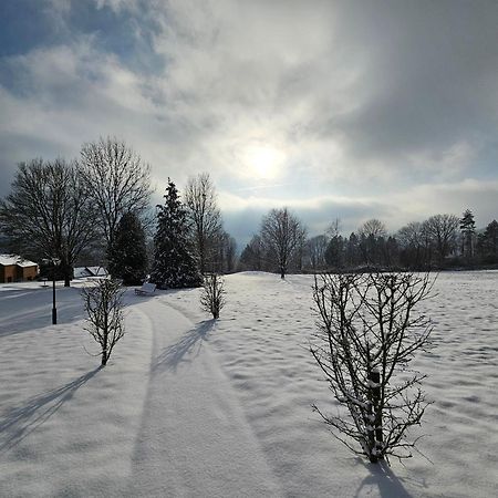 Maisons De Vacances Azur En Ardenne Durbuy Esterno foto