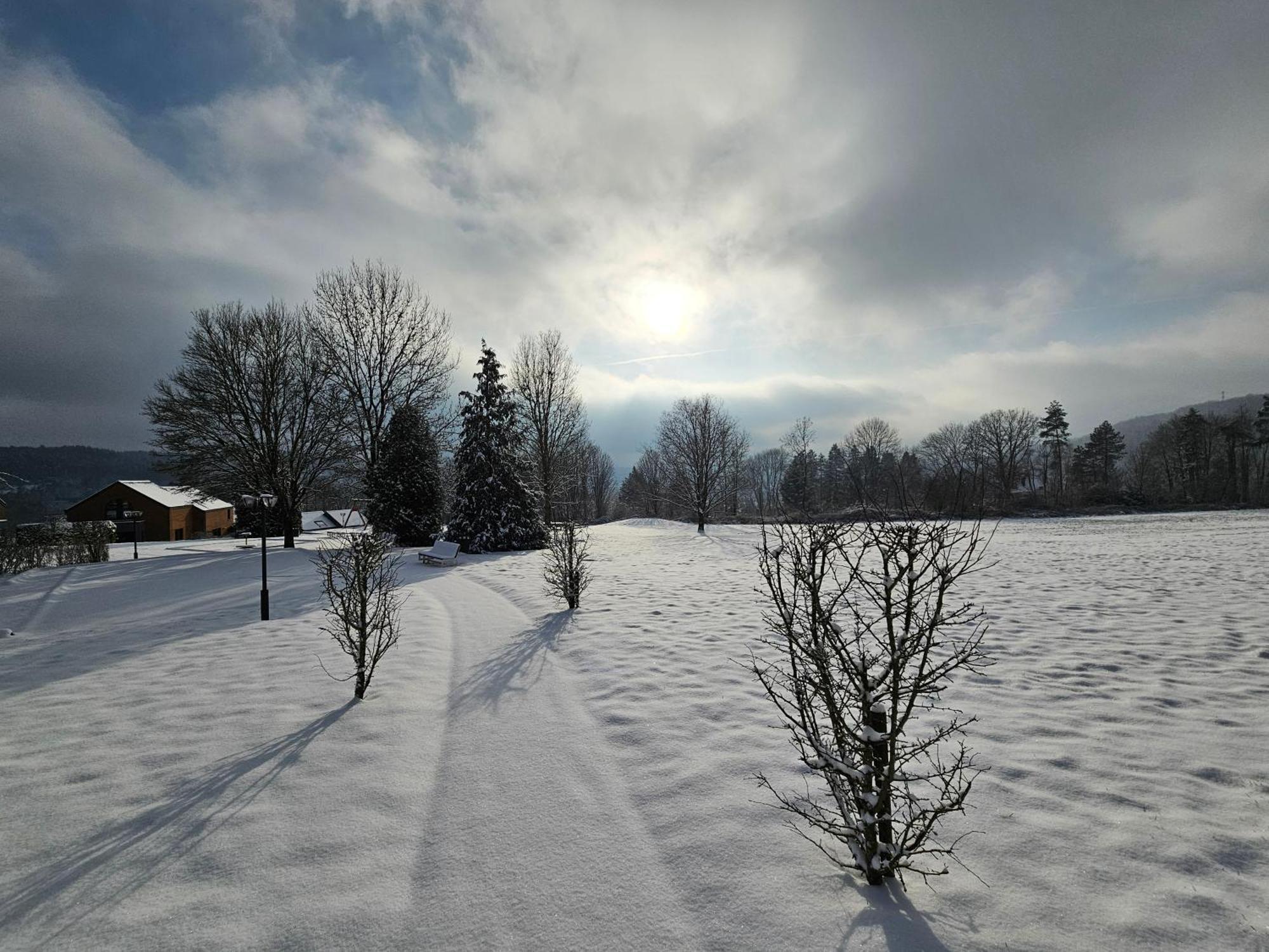 Maisons De Vacances Azur En Ardenne Durbuy Esterno foto